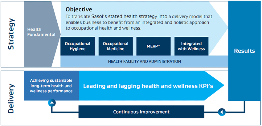 Occupational Health Governance Framework